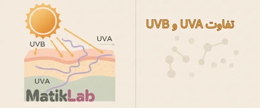 01 uva uvb skin penetration optz
