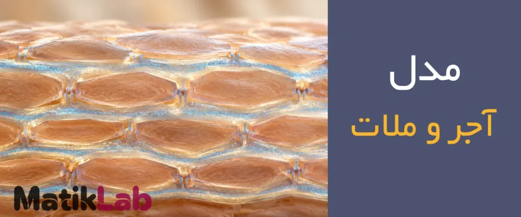 مدل سهبعدی آجر و ملات در لایه شاخی شامل کورنئوسیتها و ماتریکس چربی لاملار